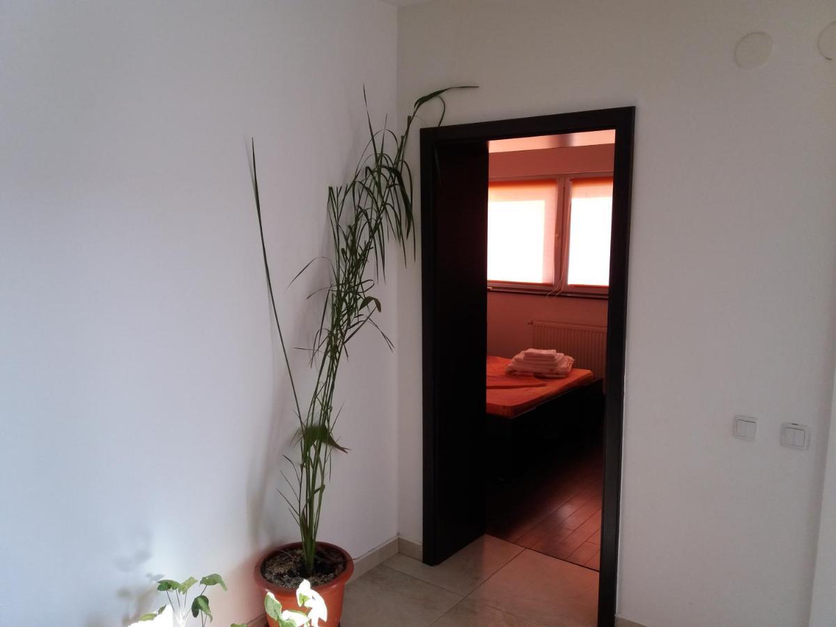 Apartament Kamino Năvodari Kültér fotó